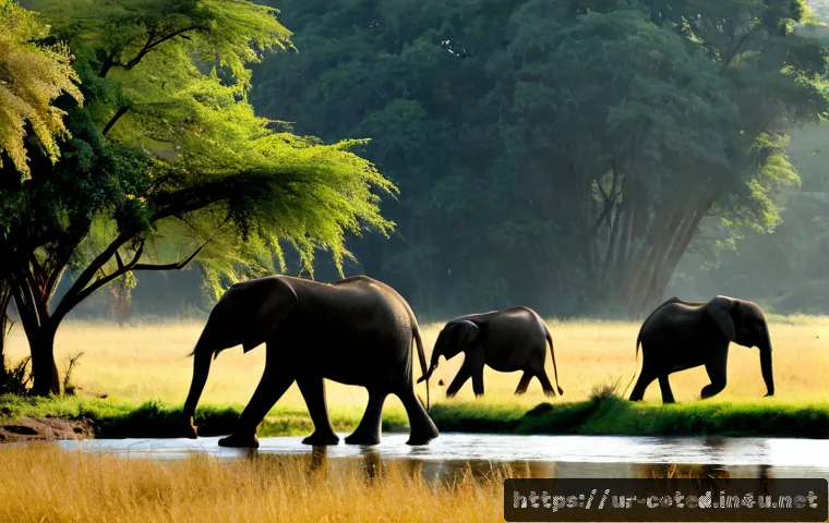 Home 17 코트디부아르 코모에 국립공원 - Photorealistic wide landscape of Comoé National Park in Côte d’Ivoire, a small herd of African eleph...